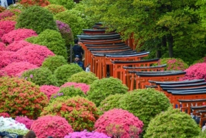 Вневременный Токио Янака: скрытые вкусы и дух старого Токио