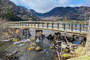 Tochigi: Tobu World Square, watervallen en kabelbaan