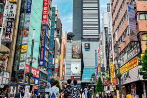 Tokio A: Tour de la ciudad en Español - Spanish