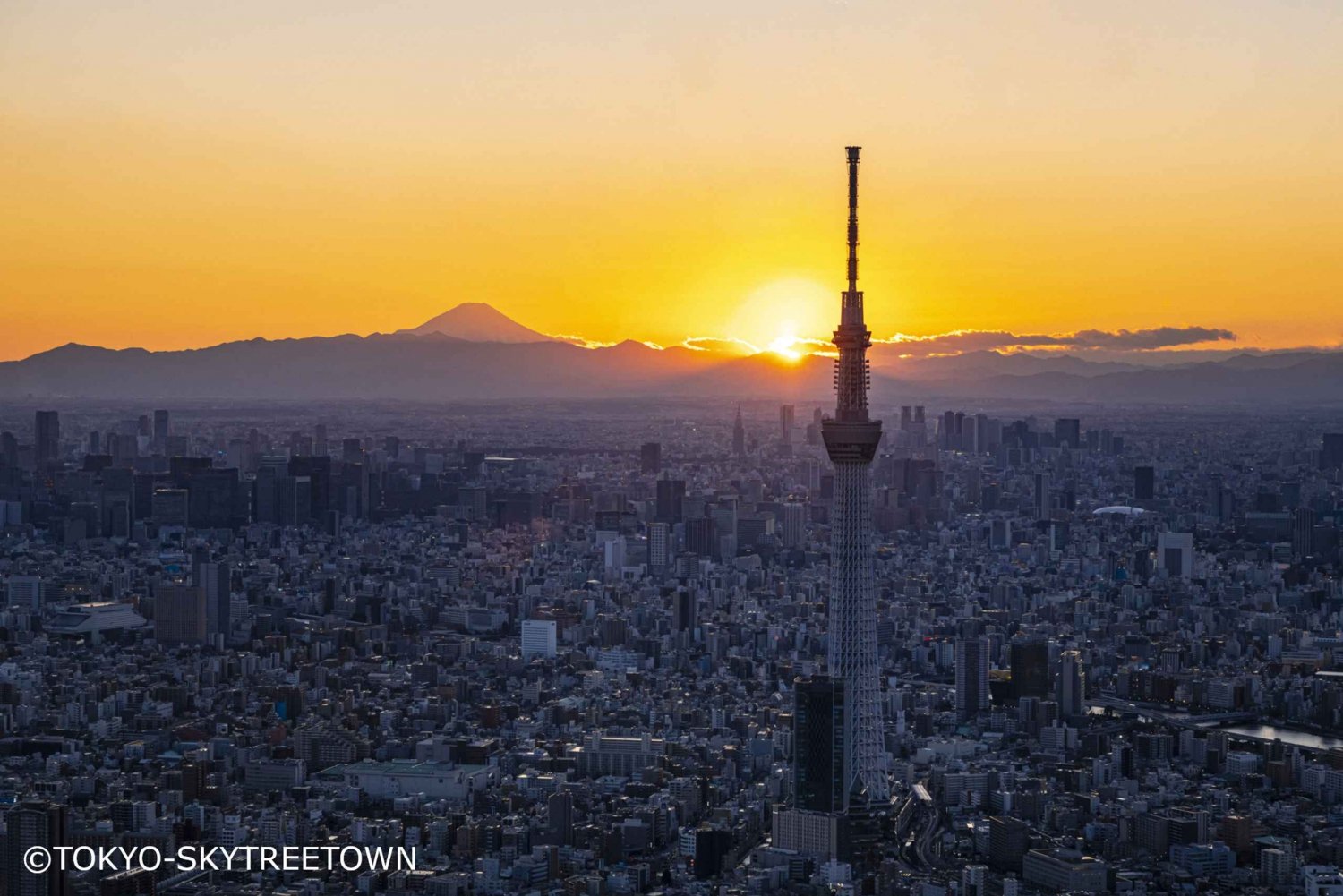 Tokio: 1-dniowa wycieczka autobusowa z Meiji-Jingu, Odaiba, lunchem i Skytree