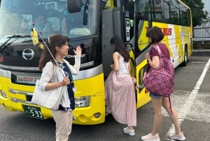 Токио: однодневный автобусный тур с посещением Мэйдзи-Дзингу, Одайба, обедом и Tokyo Skytree