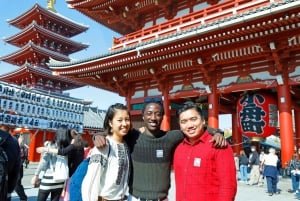 Токио: однодневный автобусный тур с посещением Мэйдзи-Дзингу, Одайба, обедом и Tokyo Skytree