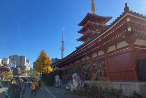 Токио: однодневный автобусный тур с посещением Мэйдзи-Дзингу, Одайба, обедом и Tokyo Skytree