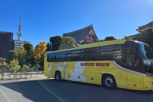 Токио: однодневный автобусный тур с посещением Мэйдзи-Дзингу, Одайба, обедом и Tokyo Skytree