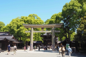 Tokyo: tour in autobus di 1 giorno con Meiji-Jingu, Odaiba, pranzo e Skytree