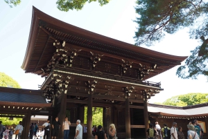 Tokyo: tour in autobus di 1 giorno con Meiji-Jingu, Odaiba, pranzo e Skytree