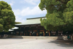 Tokyo: tour in autobus di 1 giorno con Meiji-Jingu, Odaiba, pranzo e Skytree