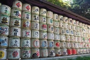 Tokyo: tour in autobus di 1 giorno con Meiji-Jingu, Odaiba, pranzo e Skytree