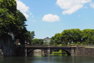 Tokyo: tour in autobus di 1 giorno con Meiji-Jingu, Odaiba, pranzo e Skytree