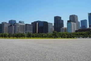Tokyo: tour in autobus di 1 giorno con Meiji-Jingu, Odaiba, pranzo e Skytree