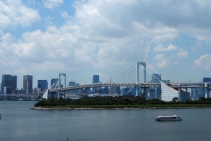 Tokyo: tour in autobus di 1 giorno con Meiji-Jingu, Odaiba, pranzo e Skytree