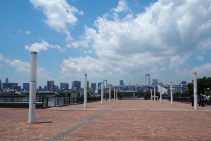 Tokyo: tour in autobus di 1 giorno con Meiji-Jingu, Odaiba, pranzo e Skytree