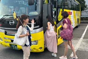 Tokyo: tour in autobus di 1 giorno con Meiji-Jingu, Odaiba, pranzo e Skytree