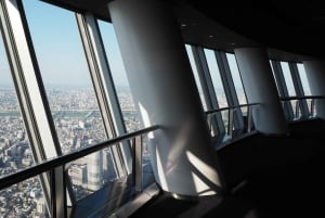 Tokyo: tour in autobus di 1 giorno con Meiji-Jingu, Odaiba, pranzo e Skytree