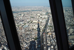 Tokyo: tour in autobus di 1 giorno con Meiji-Jingu, Odaiba, pranzo e Skytree