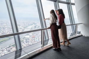 Tokyo: tour in autobus di 1 giorno con Meiji-Jingu, Odaiba, pranzo e Skytree