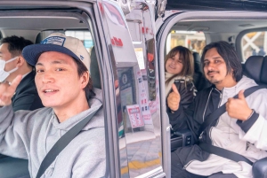 Tokio: 1-tägige Tour zu den Highlights mit privatem Auto und Guide