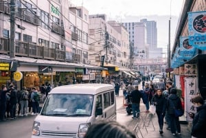 Tokio: 1-tägige Tour zu den Highlights mit privatem Auto und Guide