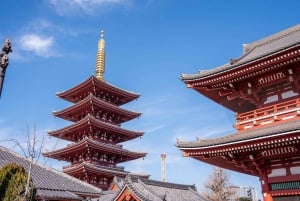 Tokio: 1-tägige Tour zu den Highlights mit privatem Auto und Guide