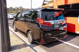 Tokio: 1-tägige Tour zu den Highlights mit privatem Auto und Guide