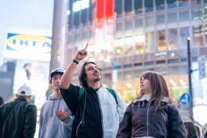 東京：専用車とガイド付き1日ハイライトツアー