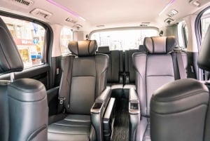 東京：専用車とガイド付き1日ハイライトツアー