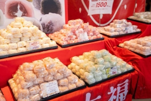 東京：専用車とガイド付き1日ハイライトツアー