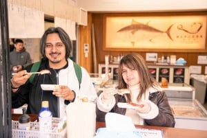 東京：専用車とガイド付き1日ハイライトツアー