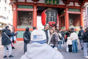東京：専用車とガイド付き1日ハイライトツアー