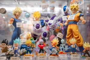 東京：専用車とガイド付き1日ハイライトツアー