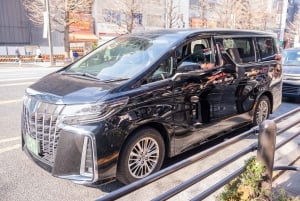 東京：専用車とガイド付き1日ハイライトツアー