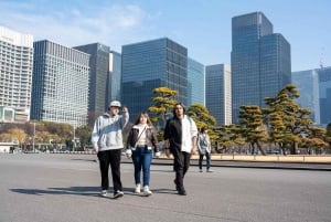 東京：専用車とガイド付き1日ハイライトツアー