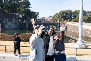 東京：専用車とガイド付き1日ハイライトツアー