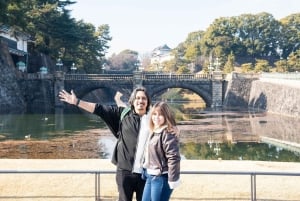 東京：専用車とガイド付き1日ハイライトツアー