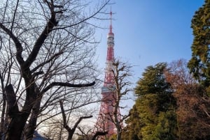 東京：専用車とガイド付き1日ハイライトツアー
