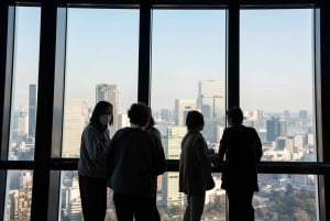 東京：専用車とガイド付き1日ハイライトツアー