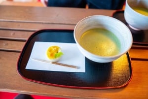 東京：専用車とガイド付き1日ハイライトツアー