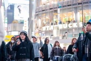 東京：専用車とガイド付き1日ハイライトツアー
