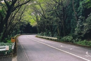 Tokyo: 1 Day JDM/Sports Car Tour to Hakone, Fuji, and Onsen