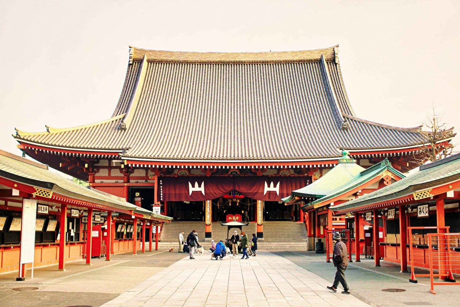 Tokyo: 1-Day Private Customizable Tour by Car