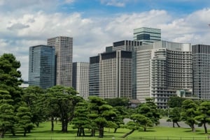 Tokyo: 1-Day Private Customizable Tour by Car