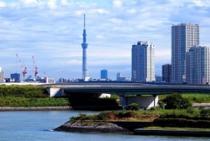 Tokyo: 1-Day Private Customizable Tour by Car