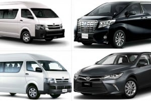 Tokyo: 1-Day Private Customizable Tour by Car