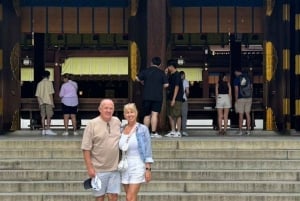 Tokyo: 1-Day Private Customizable Tour by Car