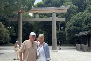 Tokyo: 1-Day Private Customizable Tour by Car