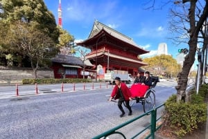 Tokio: 1-stündiges Rikscha-Abenteuer mit Blick auf den Tokyo Tower