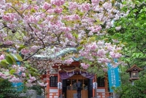 Tokio: 1-stündiges Rikscha-Abenteuer mit Blick auf den Tokyo Tower