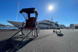 Tokio: 1-stündiges Rikscha-Abenteuer mit Blick auf den Tokyo Tower