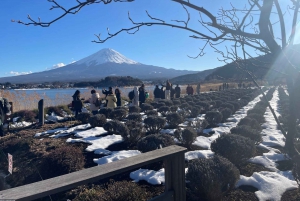 Tokyo: 2-Day Mt Fuji, Yamanashi and Hakone Private Tour