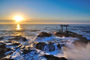 Tokyo: 2-dagers privat tur til Tochigi og Ibaraki med onsen